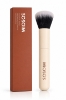 صورة All use Brush! 